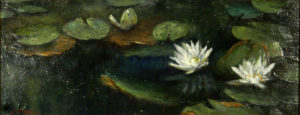 Nocturn Waterlilies 
8x20